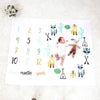 Baby Monthly Milestone Blanket Newborn Monthly Photo Blanket